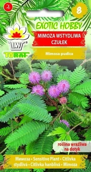 mimoza-czulek-02g-t