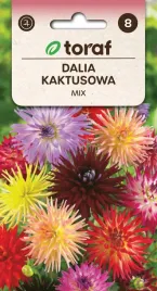 dalia-kaktusowa-mix-05g-t