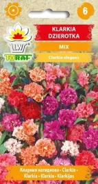 klarkia-dzierotka-mix-05g-t