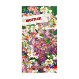 motylek-05g-o