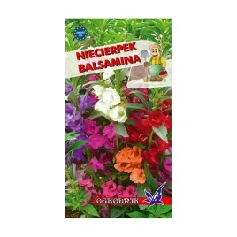 niecierpek-balsamina-1g-o