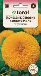 slonecznik-ozdobny-pelny-teddy-bear-2g-t