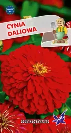 cynia-daliowa-czerwona-1g-o