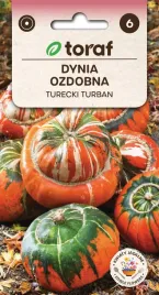 dynia-ozdobna-turecki-turban-2g-t