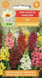 lwia-paszcza-karlowa-mix-05g-t