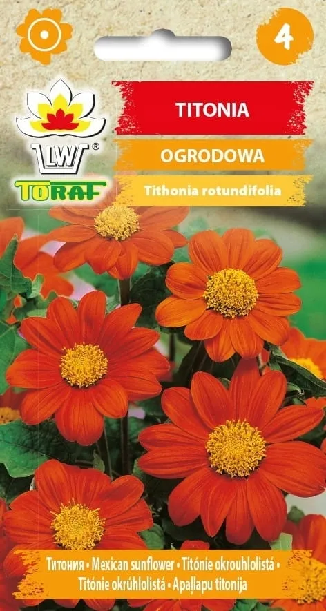 titonia-1g-t