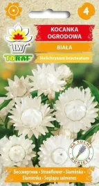 kocanka-ogrodowa-biala-05g-t