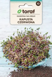 nasiona-na-kielki-kapusta-czerwona-10g-t