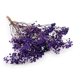 gipsowka-stabilizowana-gypsophila-pastelowy-fiolet