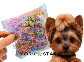 gumki-do-wlosow-dla-psa-yorka-maltanczyka-shih-tzu-na-gumce-az-1000-sztuk