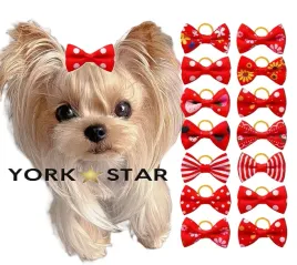 kokardka-kokardki-dla-psa-yorka-maltanczyka-shih-tzu-na-gumce-15-sztuk-mix
