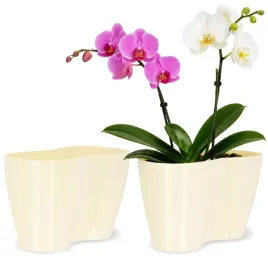 doniczka-donica-na-kwiaty-oslonka-kwietnik-plastikowa-storczyk-23cm-kremowa