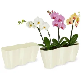 doniczka-donica-oslonka-35-cm-na-kwiaty-misa-kwietnik-plastikowa-kremowa