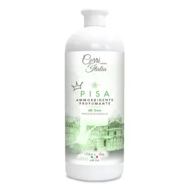 corri-d-italia-wloski-koncentrat-do-plukania-1000-ml-pisa