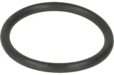 oring-lpgtech-wtryskiwacza-dragon-dolny-maly