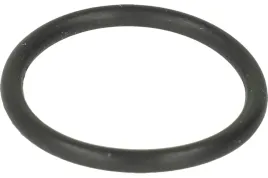 oring-lpgtech-wtryskiwacza-dragon-dolny-maly