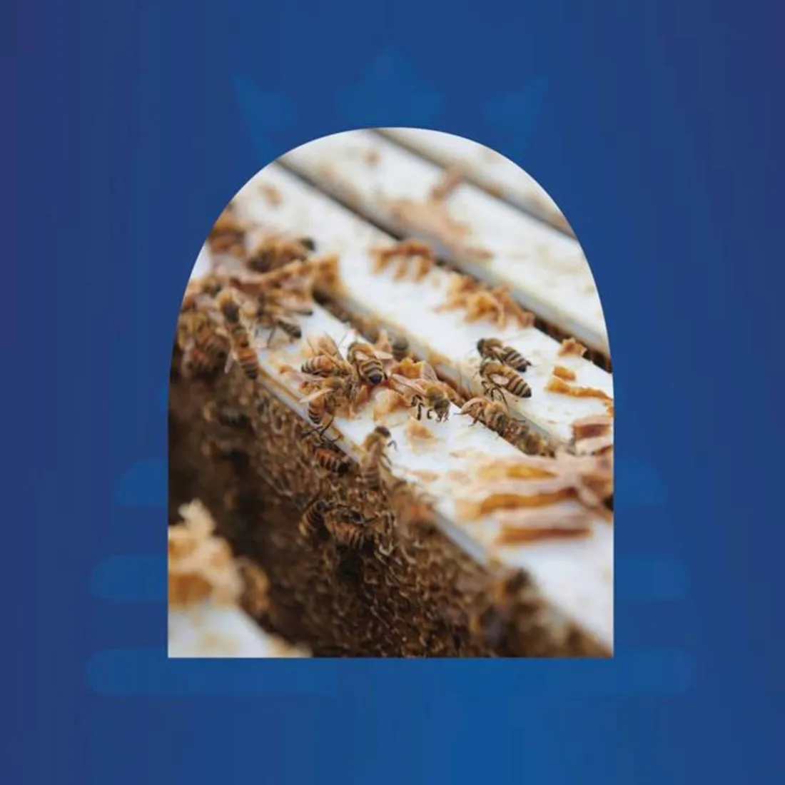 haddrell-s-umf5-mgo83-250g-marka-haddrell-s-of-cambridge