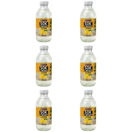 sok-z-brzozy-z-cytryna-naturavena-330-ml-x-6