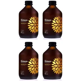 kombucha-z-yerba-mate-bio-vegan-330-ml-vigo-zestaw-4-szt