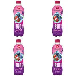 hollinger-bio-ice-tea-owoce-lesne-vegan-500-ml-x-4