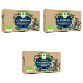 herbatka-dla-serduszka-bio-vegan-25x2-g-dary-natury-3-szt