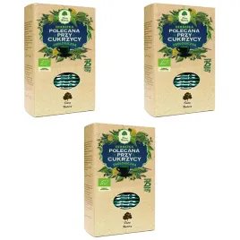 herbatka-polecana-przy-cukrzycy-bio-vegan-25x2-g-dary-natury-3-szt