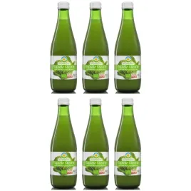 sok-z-kapusty-kiszonej-nfc-bio-bezglutenowy-weganski-300-ml-x6