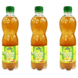 kombucha-zielona-bio-vegan-500-ml-bio-linie-zestaw-3-szt