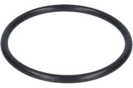 oring-valtek-korpusu-zaw-lpg-03