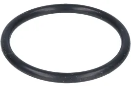 oring-pod-filtr-przy-reduktorze-palacar