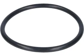 oring-na-korpus-kielicha-filtra-przy-reduktorze-palacar