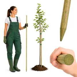 tyczka-drewniana-do-pomidorow-150-cm-27-mm-impregnowana-1-szt-do-podpory