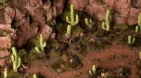 gamers-grass-basing-bits-saguaro-cacti-gamers-grass