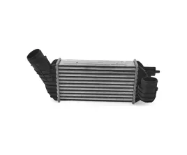 intercoolery-do-peugeot-3008-2009-2013-0384p6