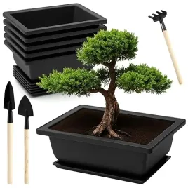 zestaw-6-misek-bonsai-z-narzedziami-ogrodowymi-i-podstawkami