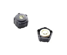 korek-zbiorniczka-wyrownawczego-do-renault-megane-1999-2002-820048024