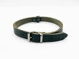 obroza-dla-psa-skorzana-zielona-05cm-32-cm