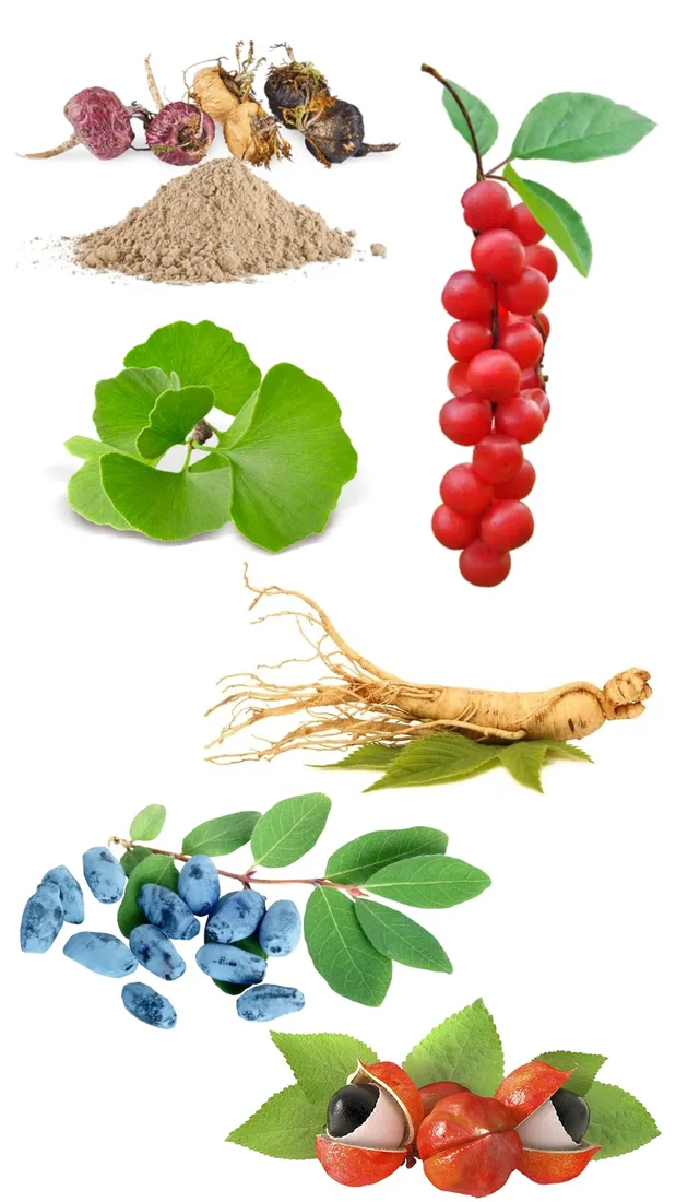 libido-boost-zwieksza-ochote-na-sex-u-pan