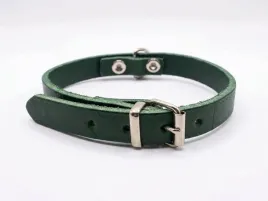 obroza-skorzana-butelkowa-zielen-05cm-32-cm