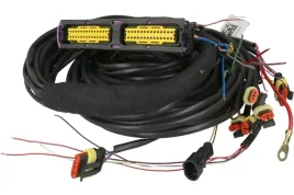 wiazka-ac-stag-400dpi-4ve-b3