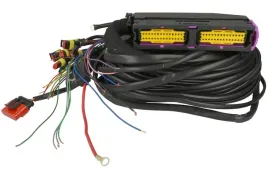 wiazka-alex-sterownika-optima-expert-6-cyl