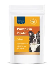dynia-pumpkin-powder-dla-psa-100g-prebiotyk-blonnik-trawienie-zdrowe-jelita