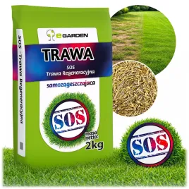 trawa-renowacyjna-regeneracyjna-sos-nasiona-trawy-na-dosiewke-2kg-80m2