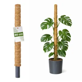 palik-kokosowy-80cm-32mm-podpora-do-roslin-pnacych