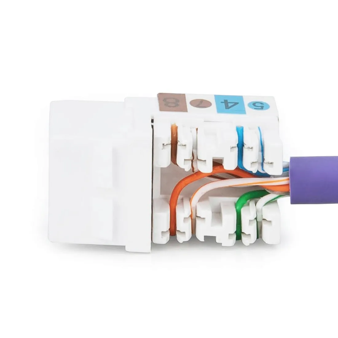 modul-keystone-digitus-kat-6-utp-lsa