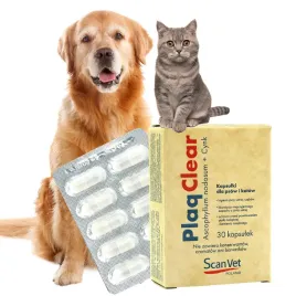 plaqclear-kapsulki-na-kamien-nazebny-psa-i-kota