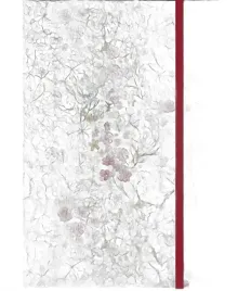 brulion-a5-z-gumka-coolpack-forget-me-not