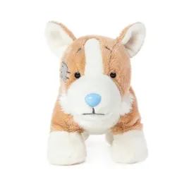 maskotka-corgi-queenie-przyjaciel-niebieskiego-noska