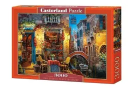 puzzle-3000-nasze-specjalne-miejsce-w-wenecji-c-300426-2