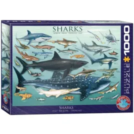 puzzle-1000-sharks-6000-0079